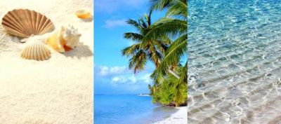 Paraíso Tropical