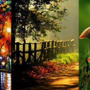 Escenas Naturales Vibrantes