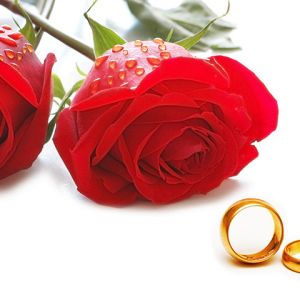 Rosas y Anillos de Boda
