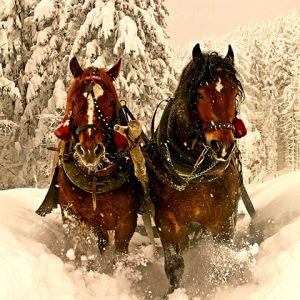 Caballos en Paisaje Nevado