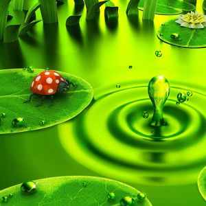 Gotas de Agua Verdes en la Naturaleza