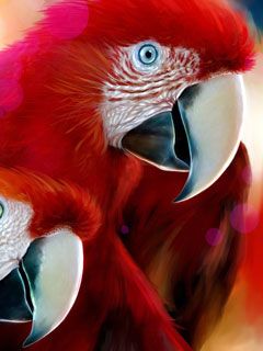 Guacamayos Rojos Vibrantes