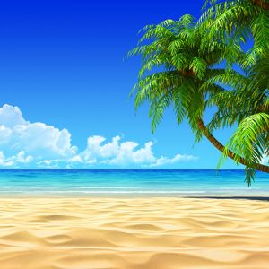 Paraíso de Playa Tropical
