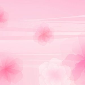 Fondo Abstracto Floral Rosa