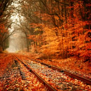 Ferrocarril del Bosque Otoñal