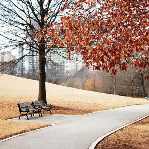 Sendero Otoñal en el Parque