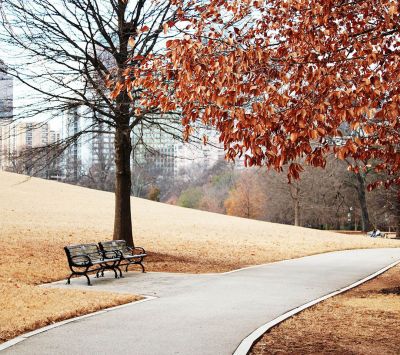 Sendero Otoñal en el Parque