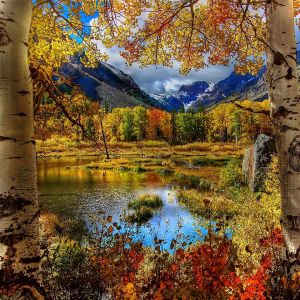 Paisaje de Otoño