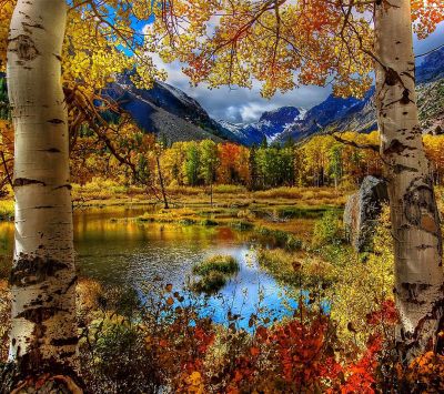 Paisaje de Otoño