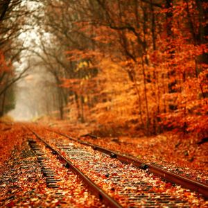 Vías de Otoño