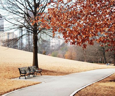 Sendero de Otoño en el Parque