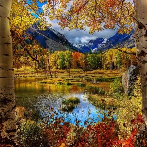Paisaje de Otoño
