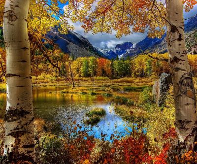 Paisaje de Otoño