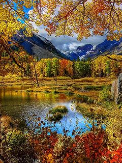 Reflejo del Paisaje Otoñal