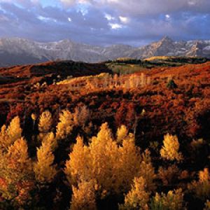 Paisaje de Otoño con Follaje Colorido
