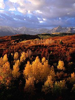 Paisaje de Otoño con Follaje Colorido