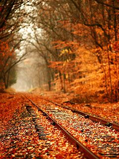 Vías de Otoño