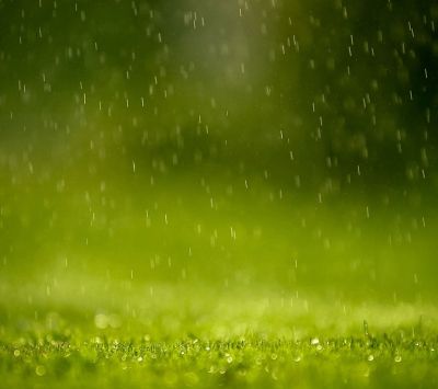 Lluvia en el Césped Verde