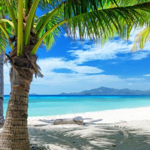 Paraíso Tropical