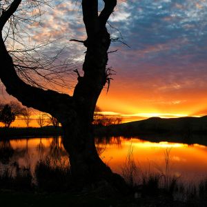 Impresionante Reflejo del Atardecer