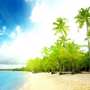 Paraíso de Playa Tropical