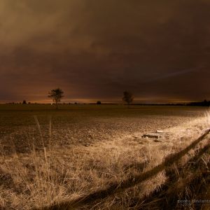 Paisaje Nocturno Sereno