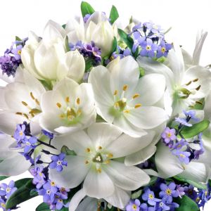 Hermosas Flores Blancas y Moradas