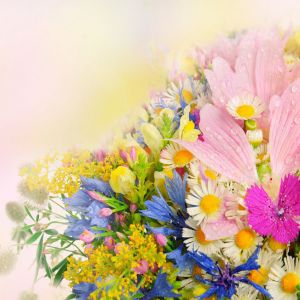 Ramo de Flores Coloridas