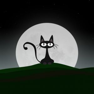 Gato Negro Bajo la Luna