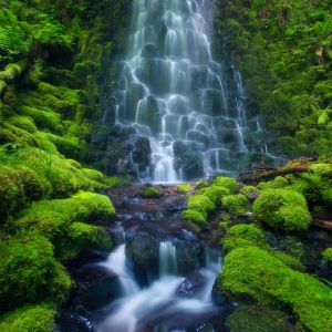 Cascada Serena en Verde Exuberante