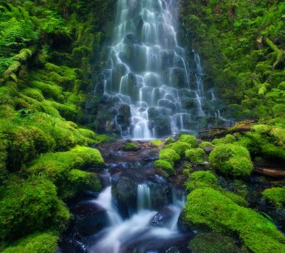 Cascada Serena en Verde Exuberante