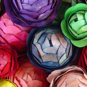 Pétalos de Flores Coloridas