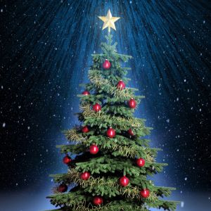 Árbol de Navidad con Estrella