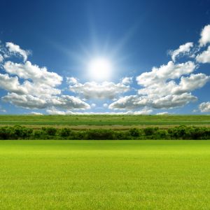 Paisaje Soleado con Cielo Azul