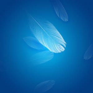 Fondo Abstracto de Pluma Azul