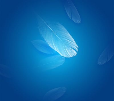 Fondo Abstracto de Pluma Azul