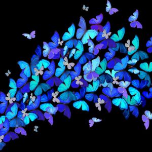 Mariposas Coloridas en Negro