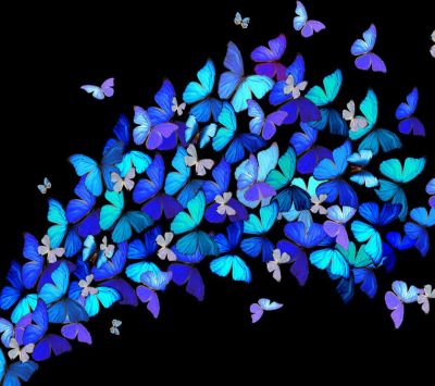 Mariposas Coloridas en Negro