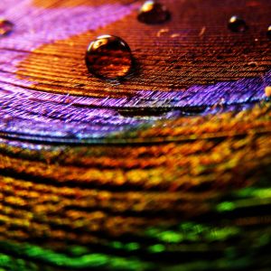 Patrones Abstractos Coloridos