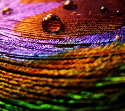 Patrones Abstractos Coloridos
