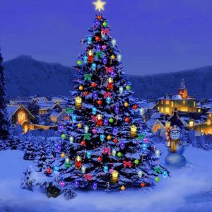 Hermoso Árbol de Navidad de Noche