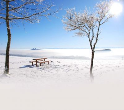 Paisaje Invernal