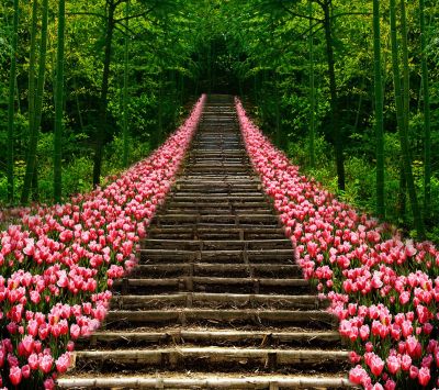 Hermoso Camino de Flores