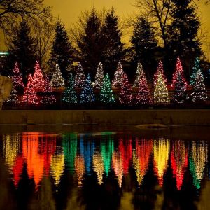 Reflejo de Árboles de Navidad Coloridos