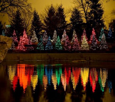 Reflejo de Árboles de Navidad Coloridos