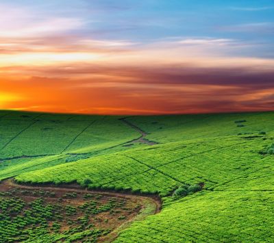 Atardecer vibrante sobre colinas verdes