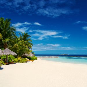Paraíso de Playa Tropical