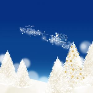 Noche Mágica de Navidad