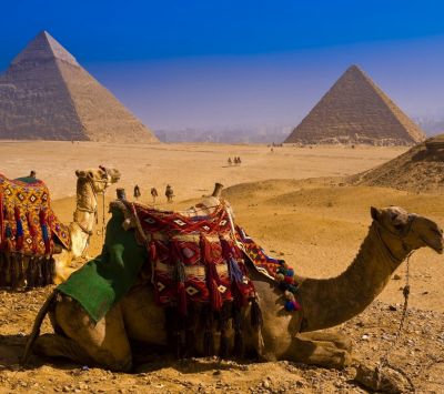 Pirámides y Camello en Egipto