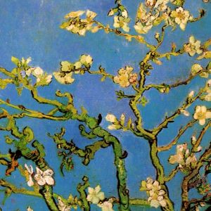Flor de Almendro de Van Gogh